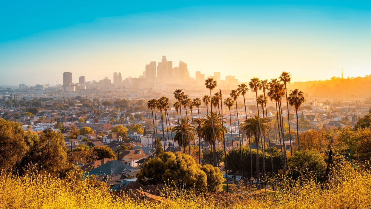 Los Angeles skyline at golden hour behind a row of palm trees